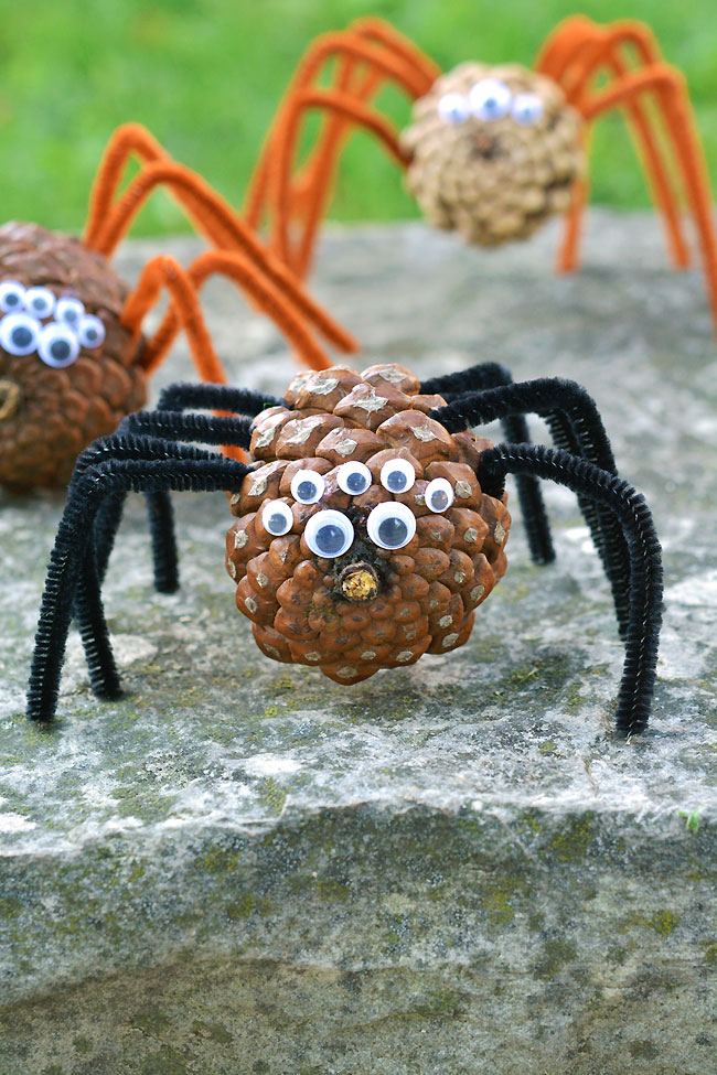 Group of pine cone spider crafts sitting outside