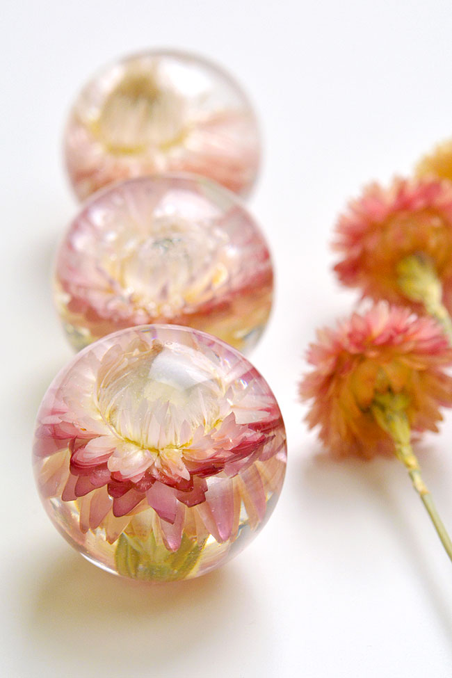 Dried flowers beside flowers preserved in resin molds
