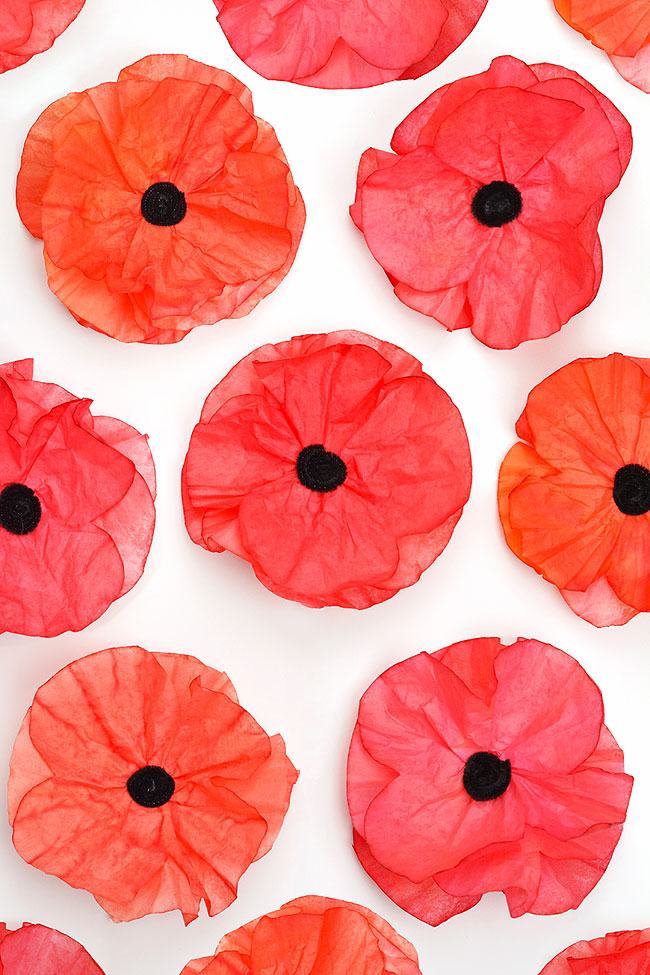 Poppy craft made from coffee filters and liquid watercolour paint