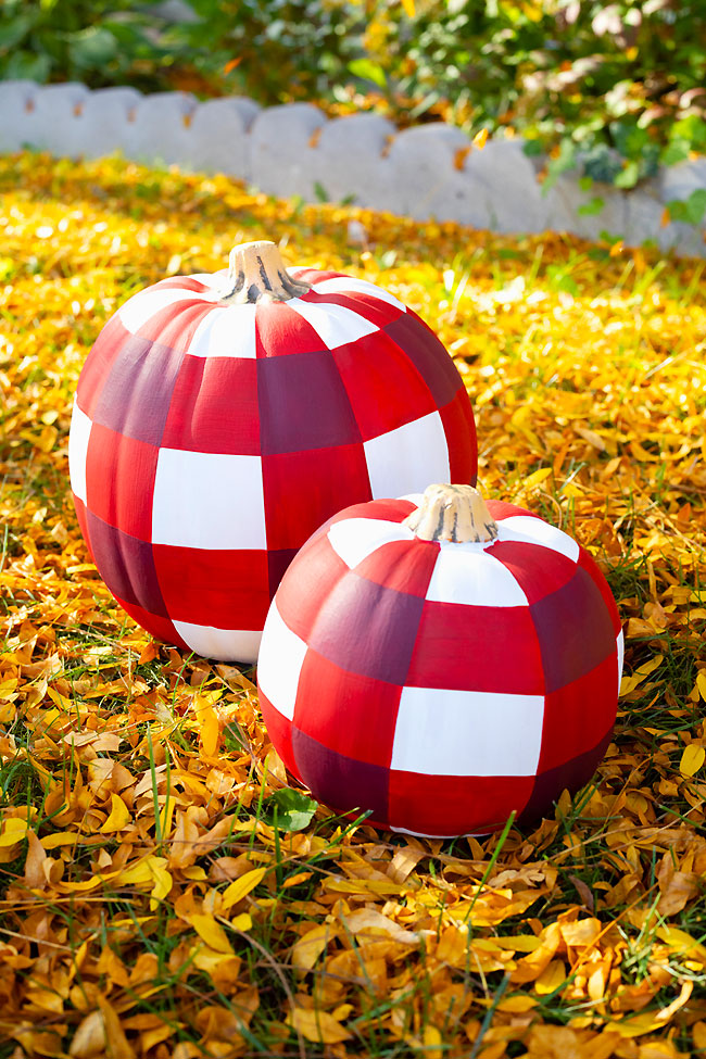 Painted buffalo plaid pumpkins sitting outside in autumn leaves
