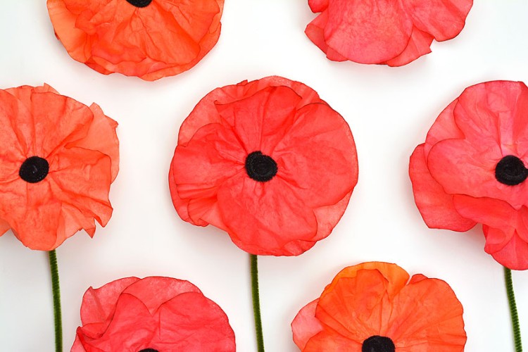 Remembrance Day poppy craft