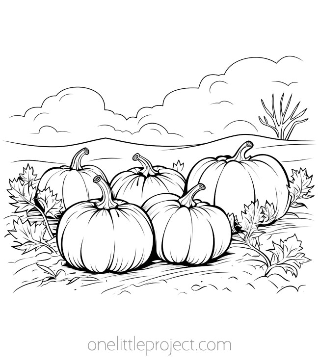 Thanksgiving coloring page - pumpkin patch