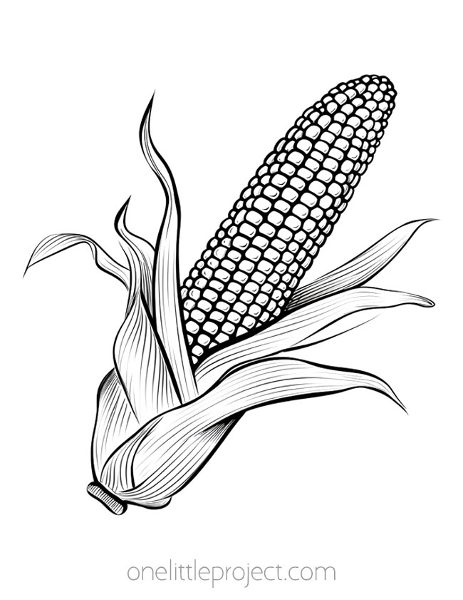 Thanksgiving coloring sheets - cob of corn