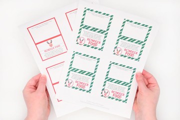 Reindeer Food | Magic Reindeer Food Recipe (Free Printable Labels!)