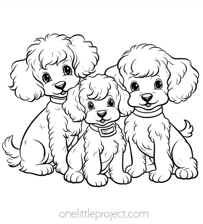 Family of poodles coloring page