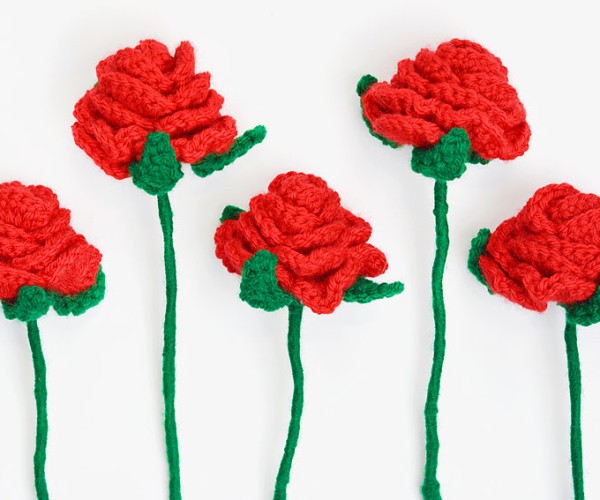 Crocheted Roses