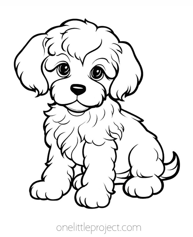 Cute and fluffy dog coloring page