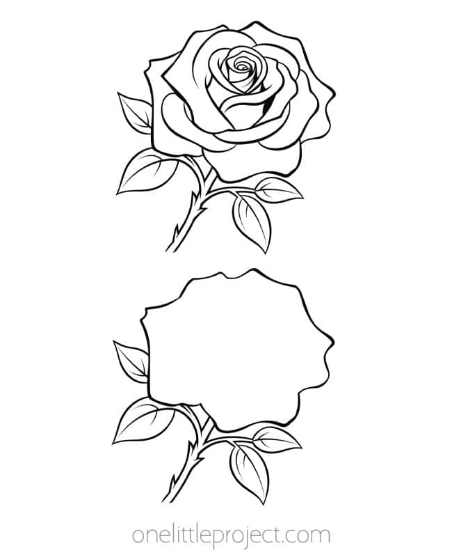 Rose Outline Rose Outline