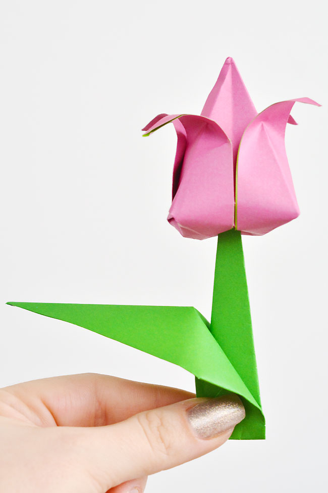Holding a pink origami tulip