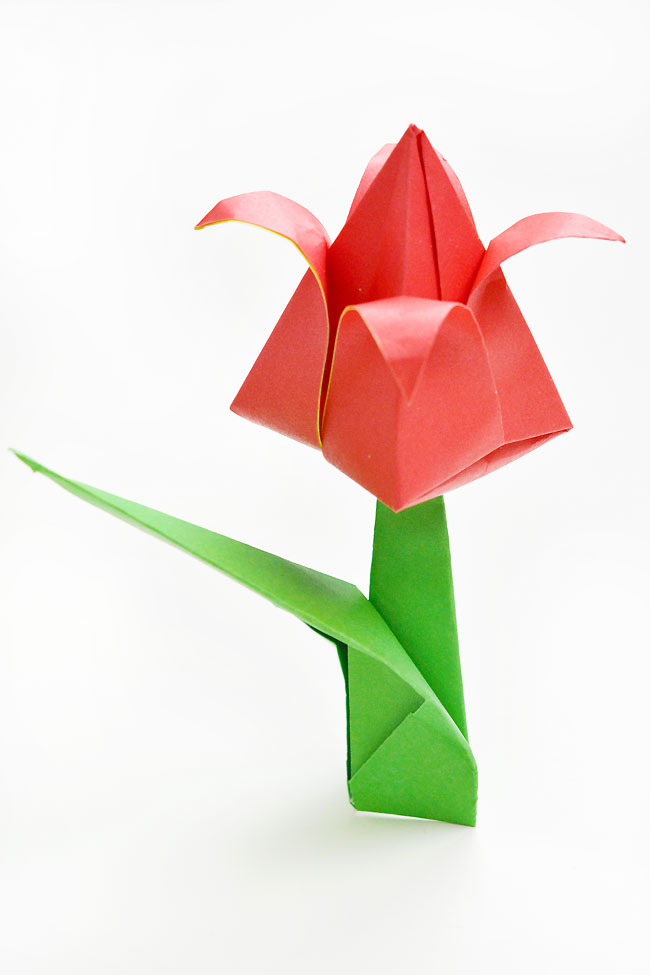 Red origami tulip standing on a white background