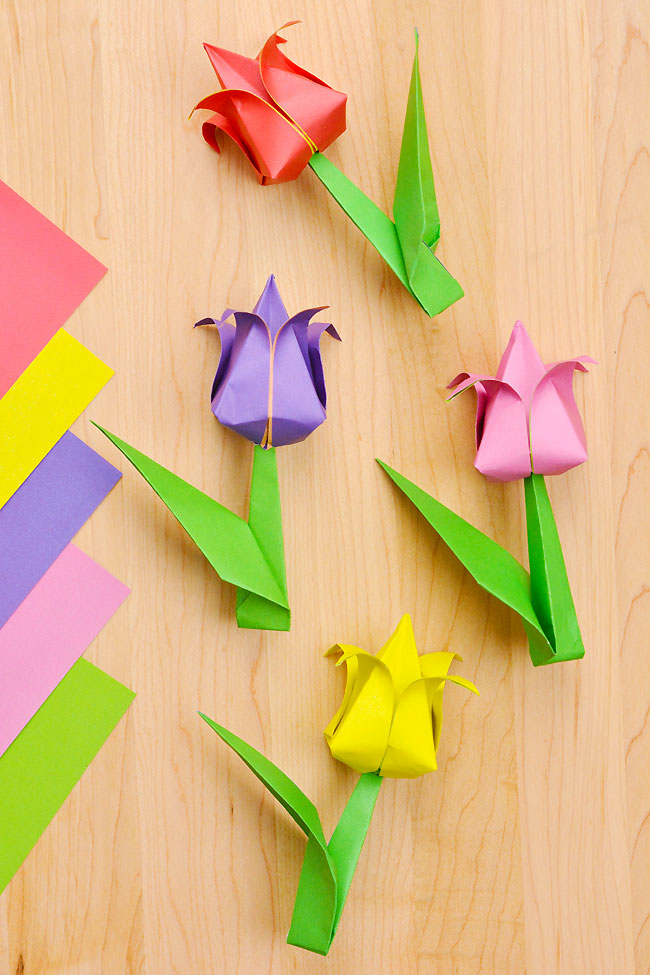 Group of paper tulips