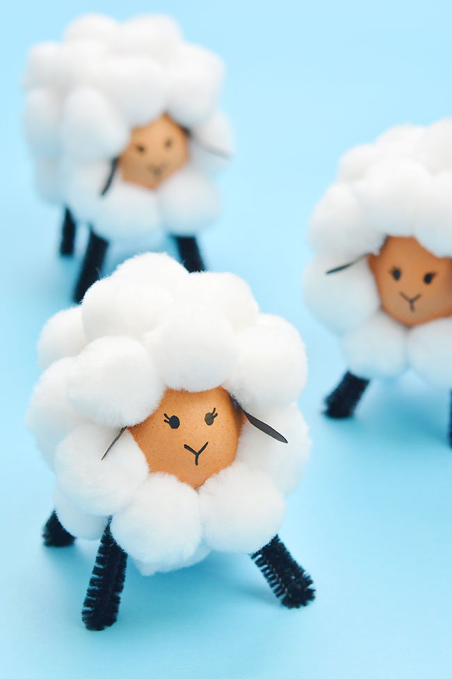 Group of cotton ball sheep on a blue background