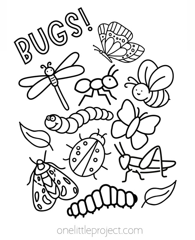 Spring coloring page - collection of bugs