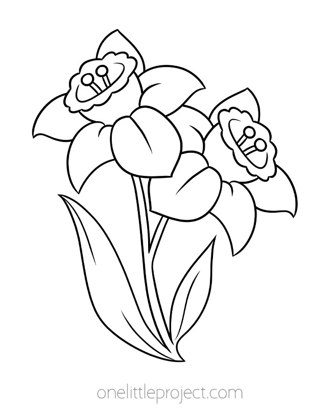 Spring coloring pages - daffodils