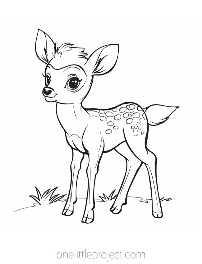 Animal Coloring Page - deer