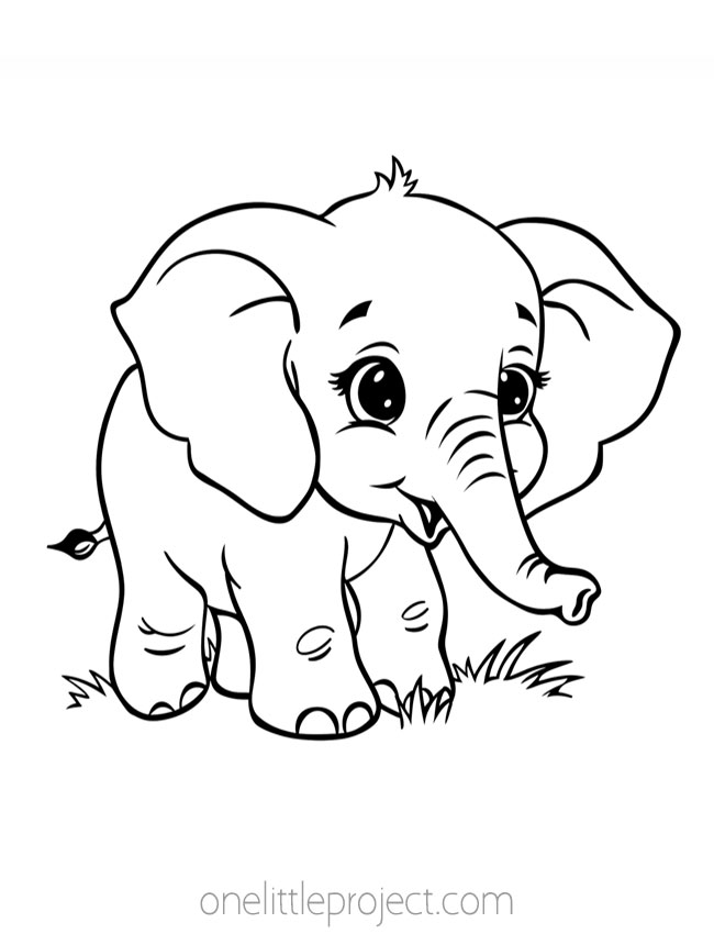 Animal Coloring Sheets - elephant