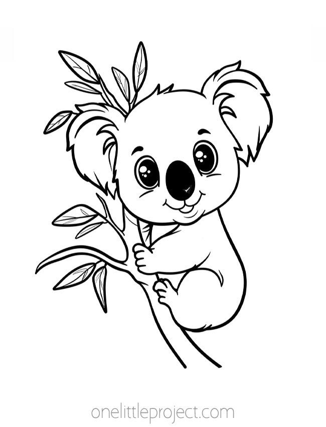 Coloring Pages Animals - koala