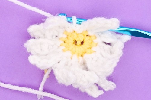 Crochet Daisy