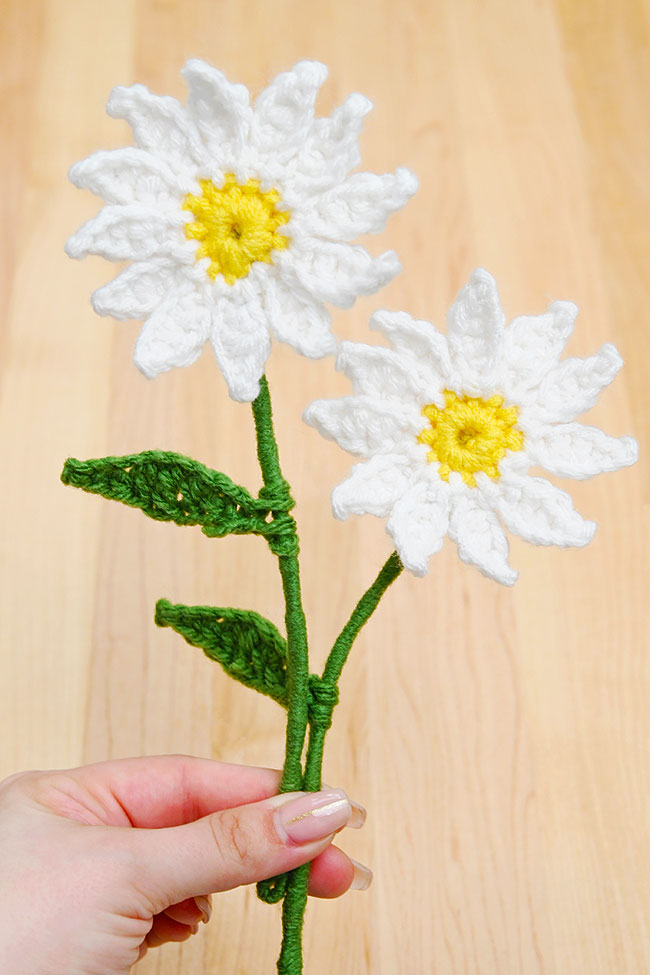Easy crochet daisy made with a free, printable pattern
