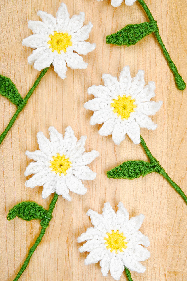 Crochet daisies on a wooden background