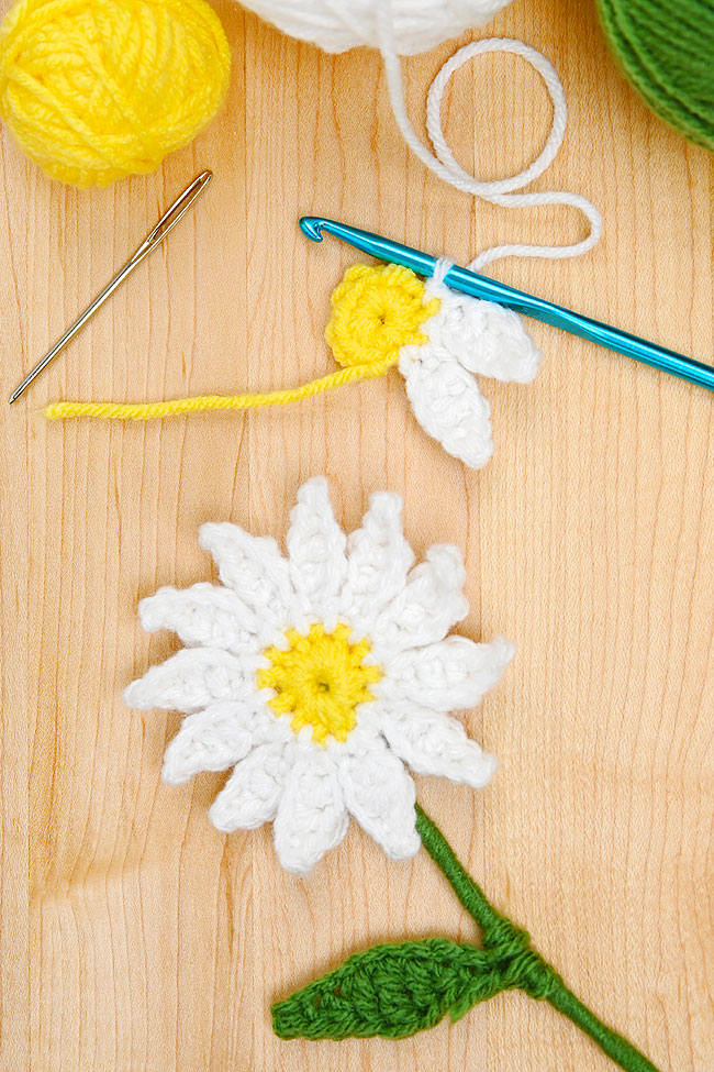 Cute spring daisy flower made with crochet