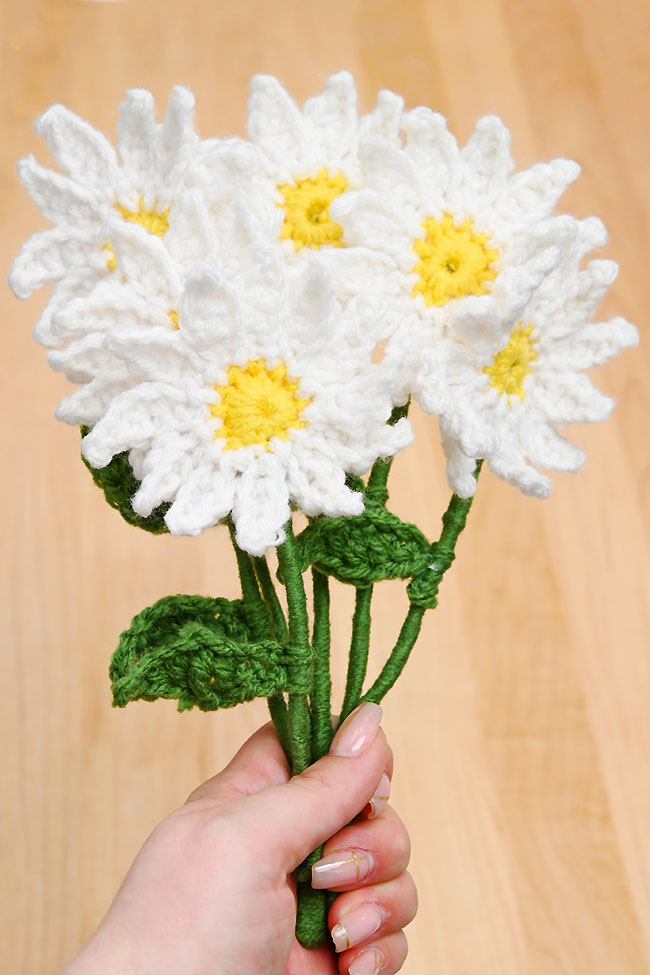 Holding a bouquet of crochet daisies