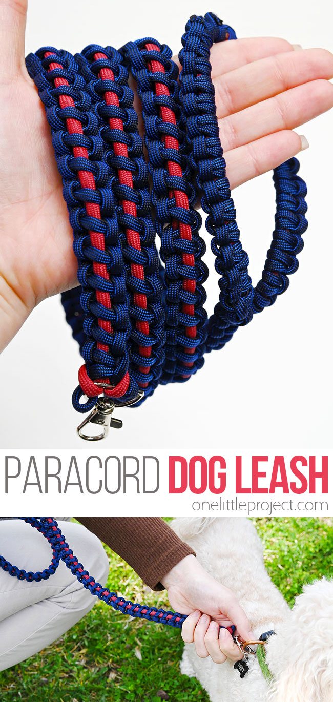DIY paracord dog leash with beautiful pattern