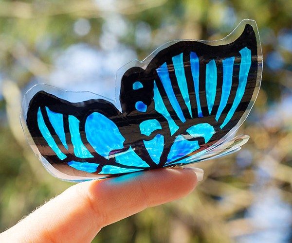Bottle Butterfly Craft