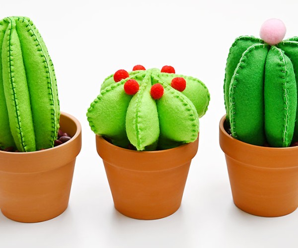 Cactus Felt Pattern