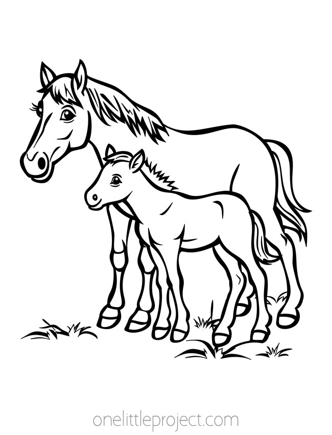 Coloring Page Horse