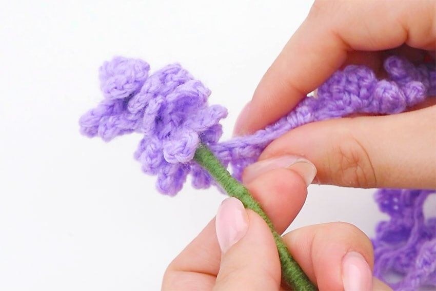 Crochet Lavender | Free Lavender Crochet Pattern