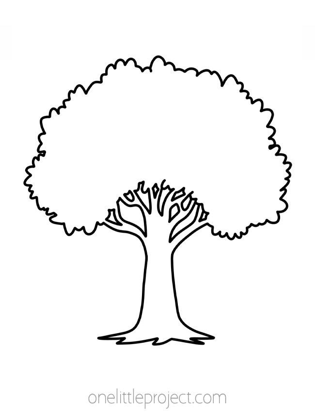 Tree outline with a tapered trunk and a rounded leafy top
