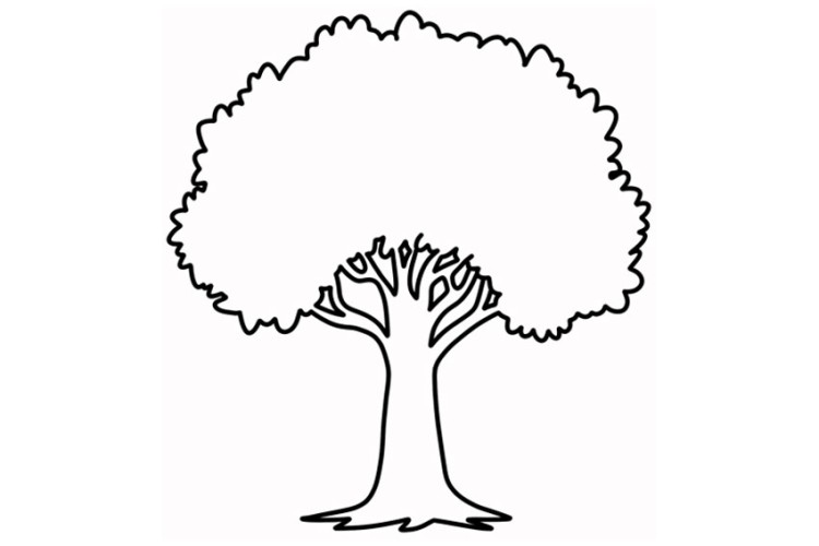 Free, printable tree outline, templates, and shapes