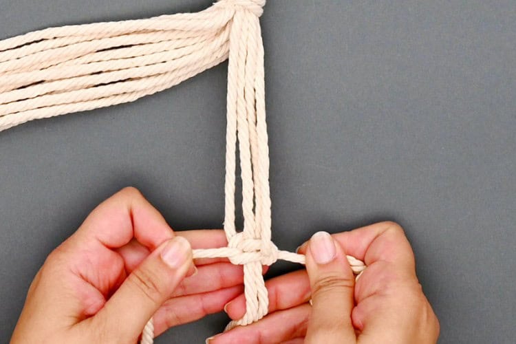 DIY Macrame Plant Hanger | How to Make Macrame Plant Hangers