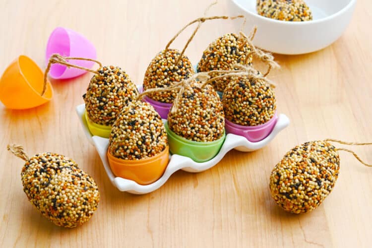 Easter Egg Bird Feeder DIY birdseed Easter egg
