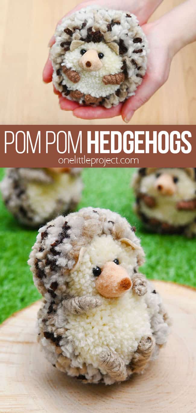 Pom Pom Hedgehog Cute Hedgehogs Pom Pom Craft