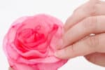 Simple Coffee Filter Roses Coffee Filter Roses - Easy DIY Paper Flower Tutorial