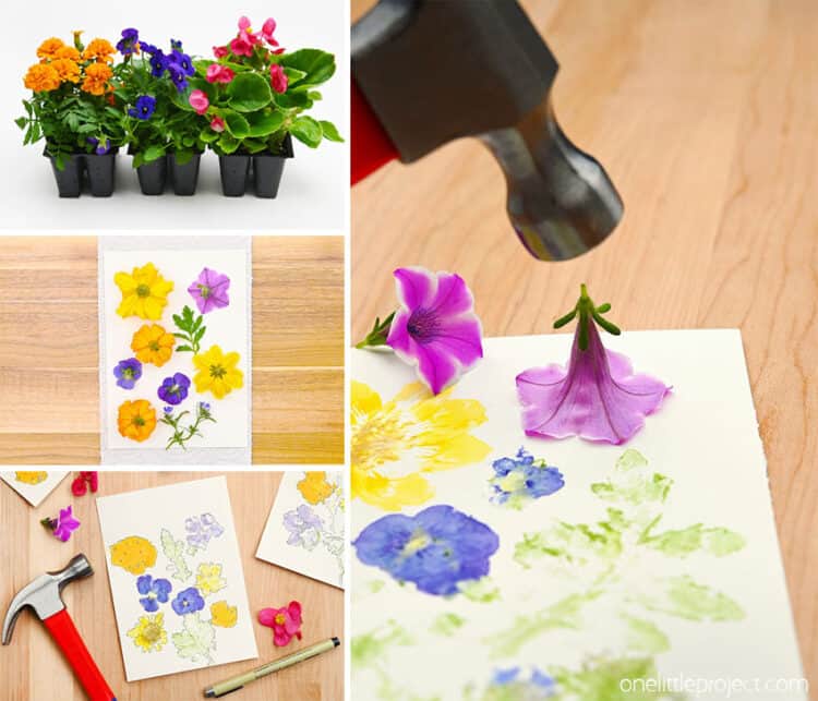 Flower Pounding Craft - Hammered Flower Prints on Paper