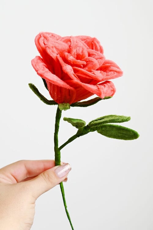 Valentine Day Art Craft - Pipe Cleaner Rose Valentine Day Art Craft - Pipe Cleaner Rose