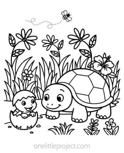 Turtle Coloring Pages - Free Printable Turtle Coloring Sheets