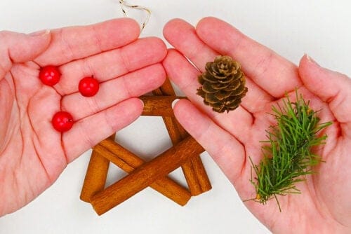 Cinnamon Stick Star Ornament