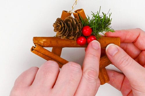 Cinnamon Stick Star Ornament