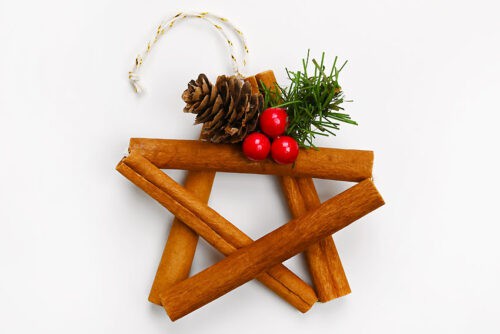 Cinnamon Stick Star Ornament