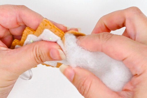 Felt Cookies