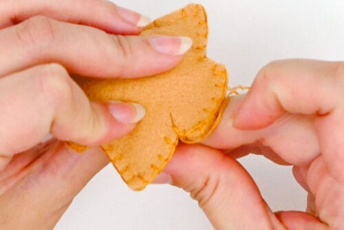 Felt Cookies