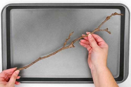 Frosted Branches