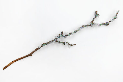 Frosted Branches