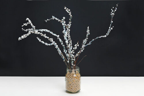 Frosted Branches