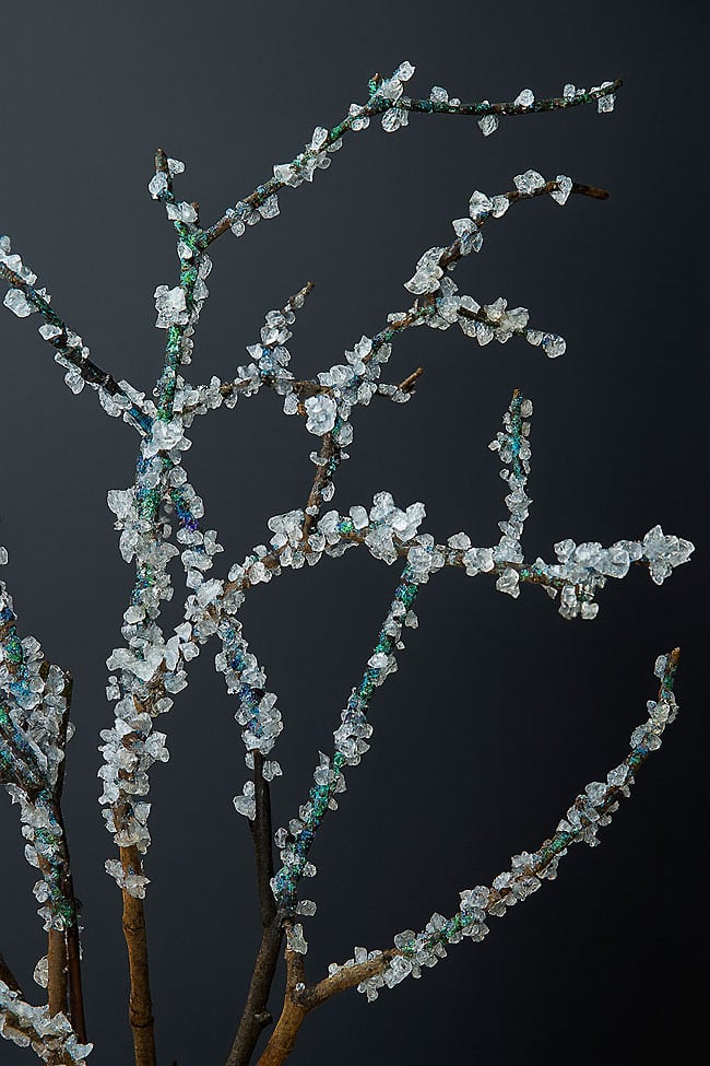 Closeup on beautiful DIY frosted branches decor 