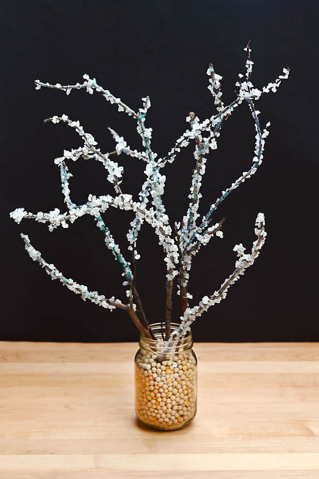 Icy Crystal Branches Winter Craft Icy crystal branches winter craft